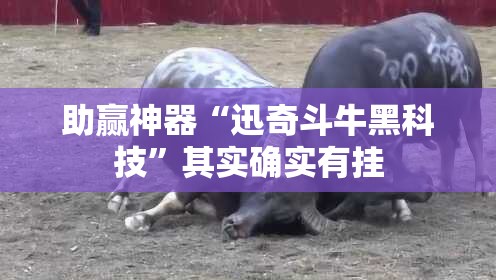 助赢神器“迅奇斗牛黑科技”其实确实有挂