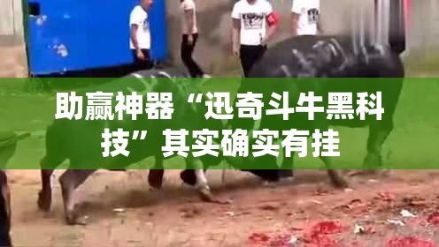 助赢神器“迅奇斗牛黑科技”其实确实有挂
