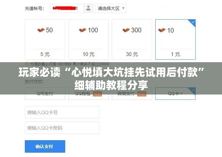 玩家必读“心悦填大坑挂先试用后付款”细辅助教程分享