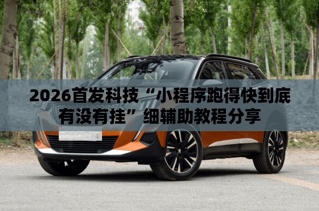 2026首发科技“小程序跑得快到底有没有挂”细辅助教程分享