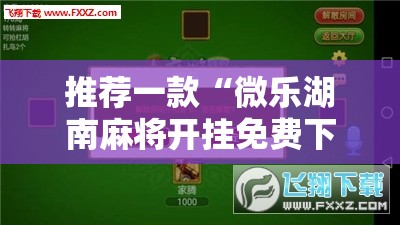 推荐一款“微乐湖南麻将开挂免费下载安装”开挂辅助脚本+详细开挂安装教程