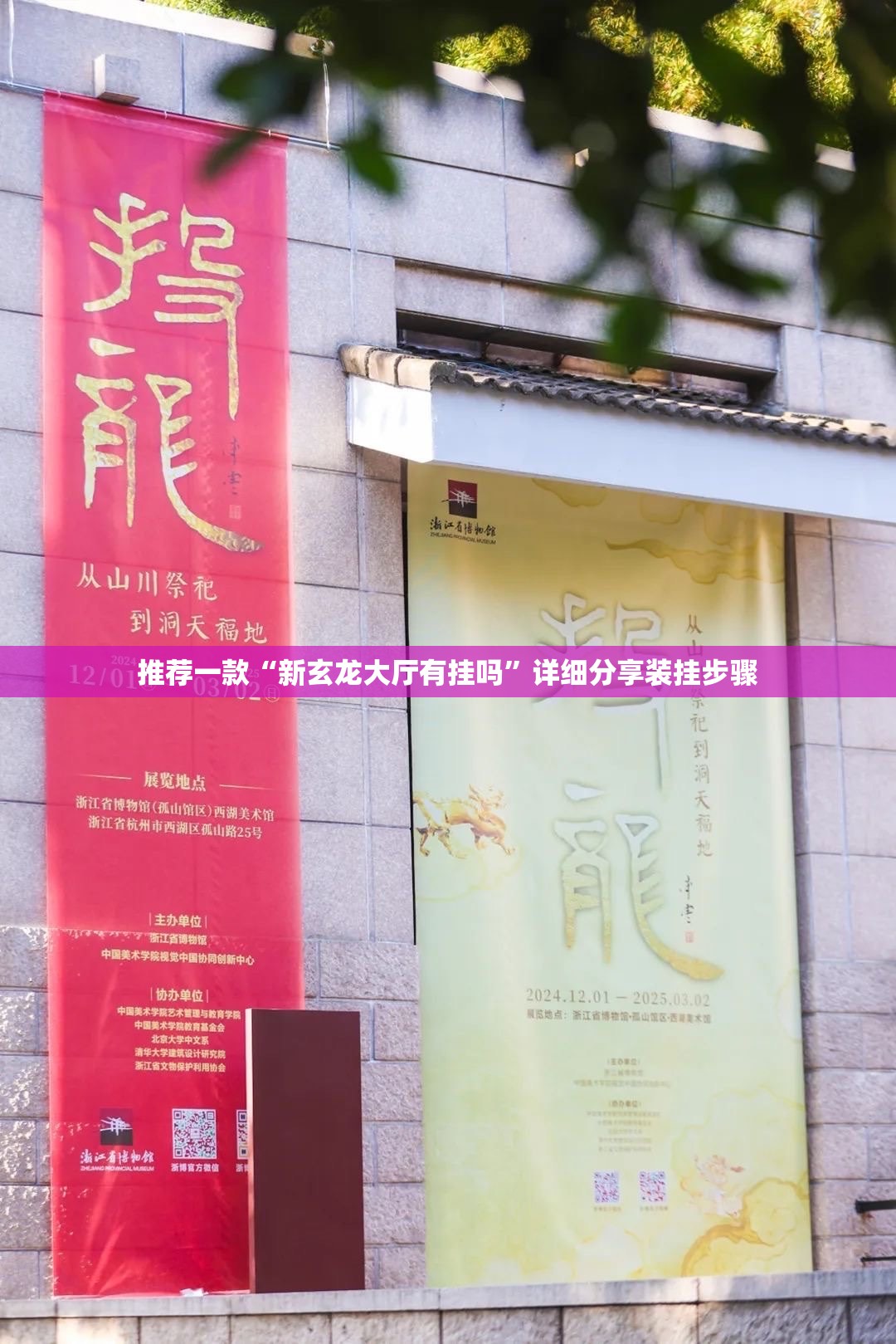 推荐一款“新玄龙大厅有挂吗”详细分享装挂步骤