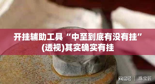 开挂辅助工具“中至到底有没有挂”(透视)其实确实有挂