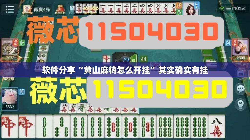 软件分享“黄山麻将怎么开挂”其实确实有挂