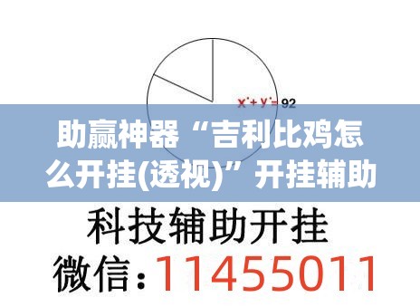 助赢神器“吉利比鸡怎么开挂(透视)	”开挂辅助脚本+详细开挂安装教程