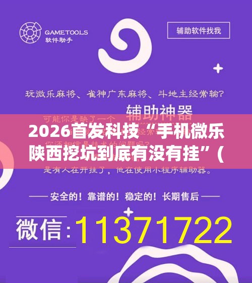 2026首发科技“手机微乐陕西挖坑到底有没有挂”(透视)其实确实有挂