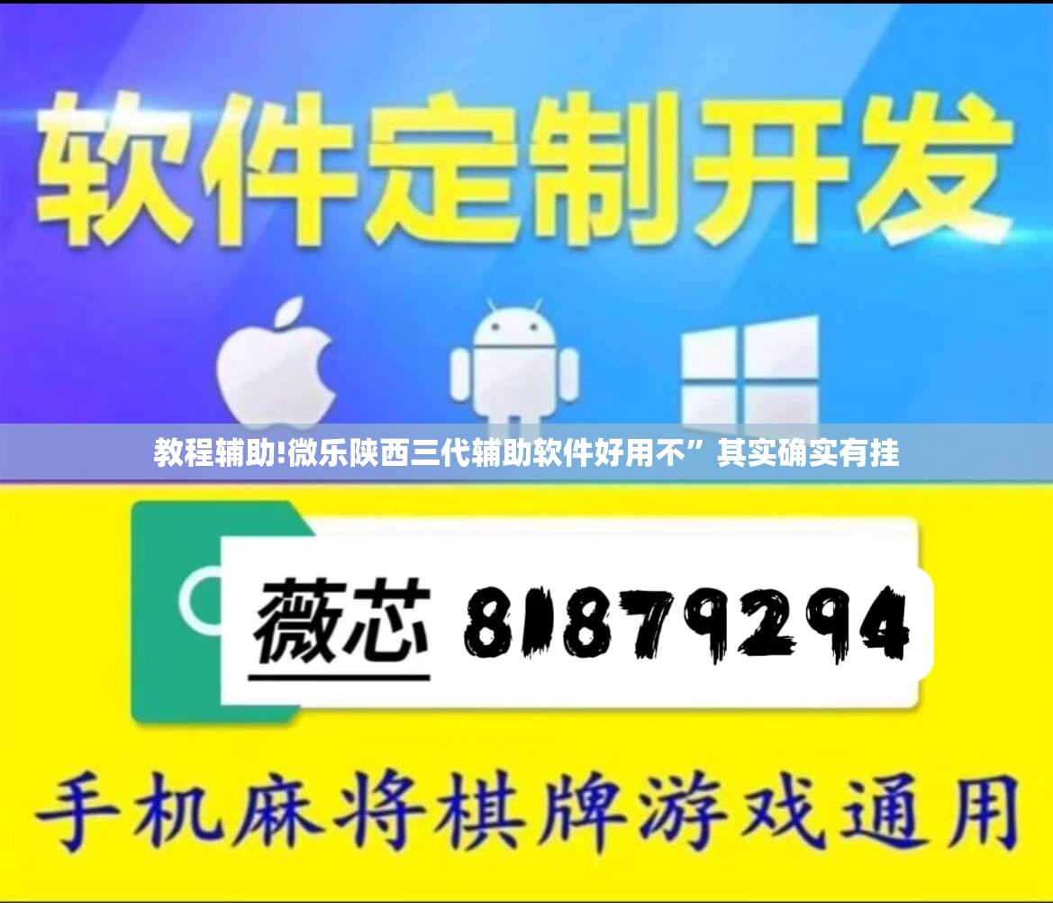 教程辅助!微乐陕西三代辅助软件好用不”其实确实有挂