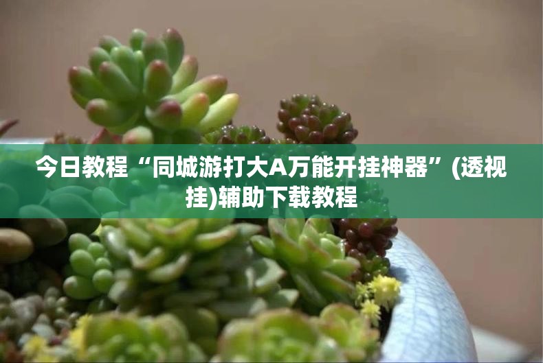 今日教程“同城游打大A万能开挂神器	”(透视挂)辅助下载教程