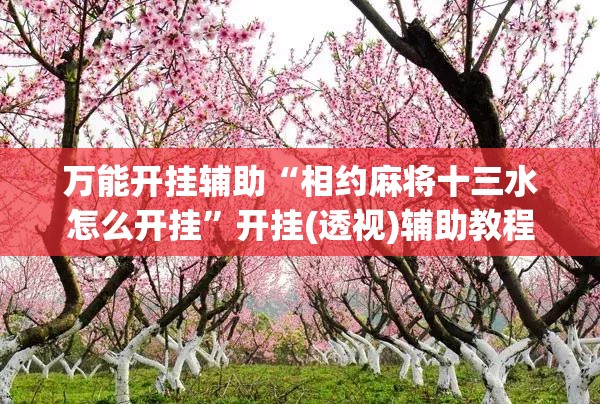 万能开挂辅助“相约麻将十三水怎么开挂	”开挂(透视)辅助教程
