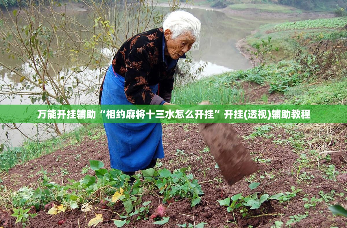 万能开挂辅助“相约麻将十三水怎么开挂”开挂(透视)辅助教程