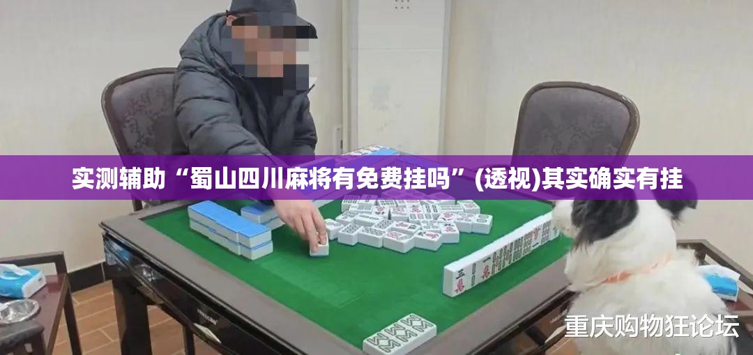 实测辅助“蜀山四川麻将有免费挂吗”(透视)其实确实有挂