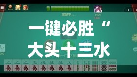 一键必胜“大头十三水怎么开挂”开挂(透视)辅助教程