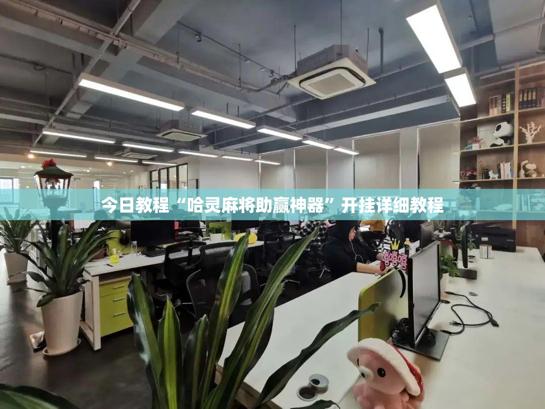 今日教程“哈灵麻将助赢神器”开挂详细教程