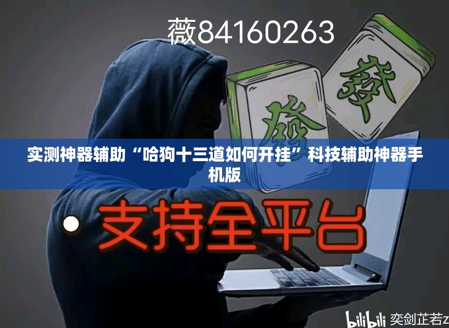实测神器辅助“哈狗十三道如何开挂”科技辅助神器手机版