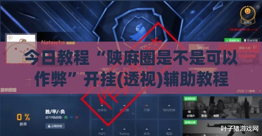 今日教程“陕麻圈是不是可以作弊	”开挂(透视)辅助教程