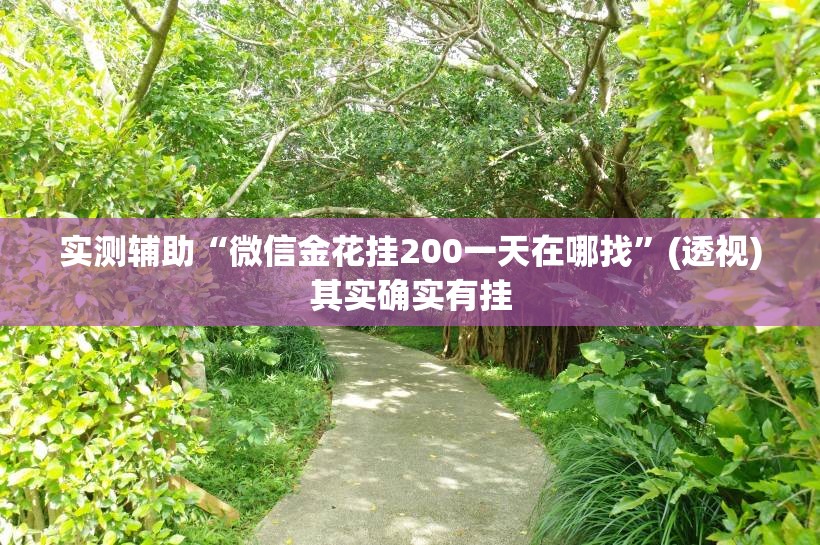 实测辅助“微信金花挂200一天在哪找”(透视)其实确实有挂