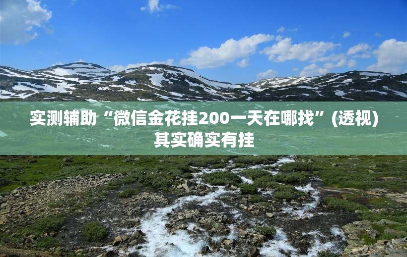 实测辅助“微信金花挂200一天在哪找”(透视)其实确实有挂