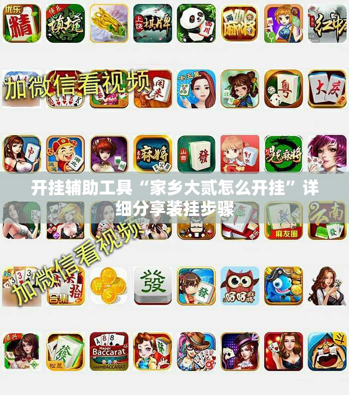 开挂辅助工具“家乡大贰怎么开挂”详细分享装挂步骤