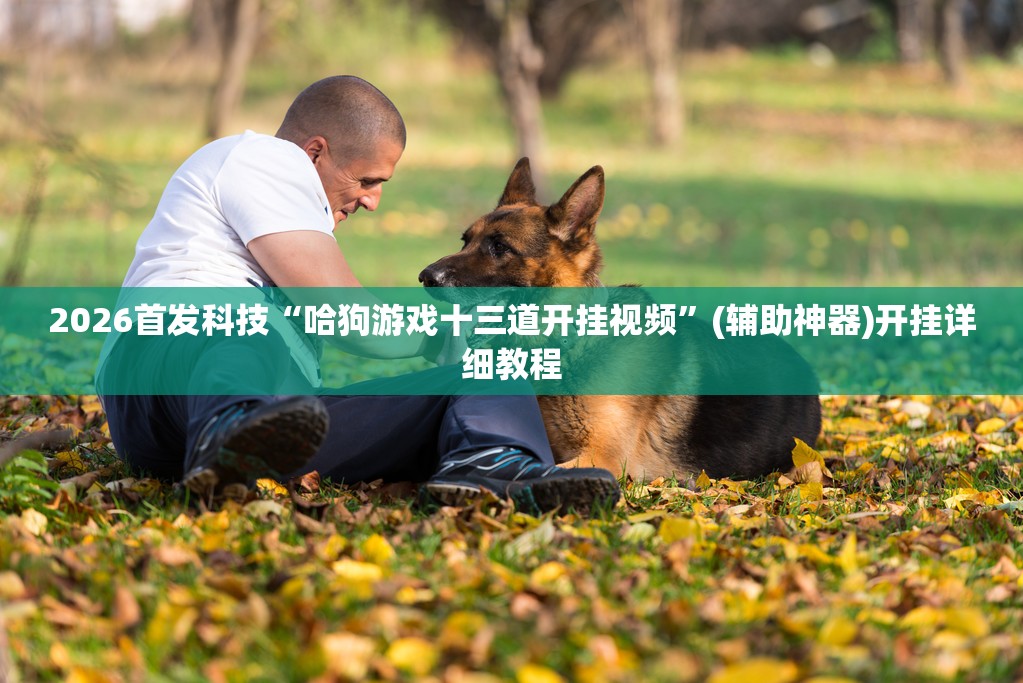 2026首发科技“哈狗游戏十三道开挂视频	”(辅助神器)开挂详细教程