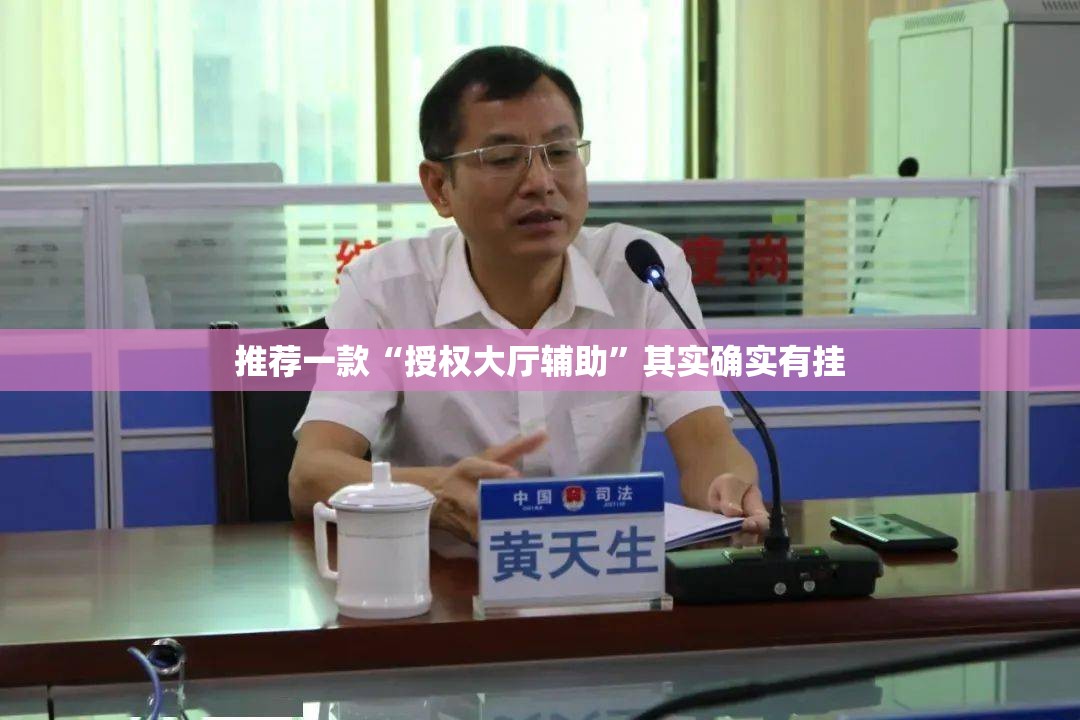 推荐一款“授权大厅辅助”其实确实有挂