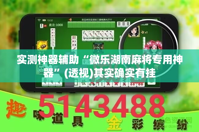 实测神器辅助“微乐湖南麻将专用神器”(透视)其实确实有挂
