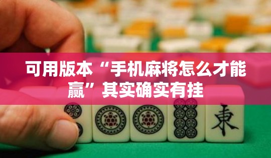 可用版本“手机麻将怎么才能赢”其实确实有挂