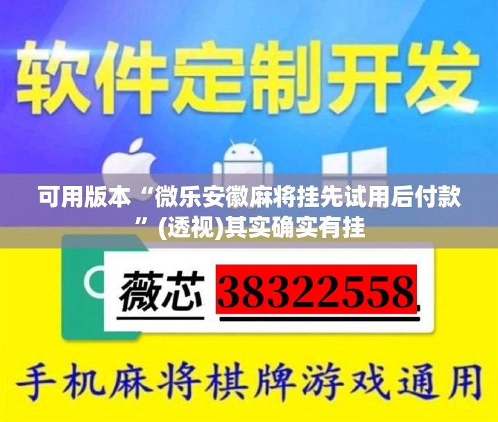 可用版本“微乐安徽麻将挂先试用后付款”(透视)其实确实有挂