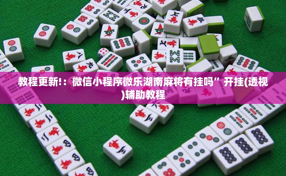 教程更新!：微信小程序微乐湖南麻将有挂吗”开挂(透视)辅助教程
