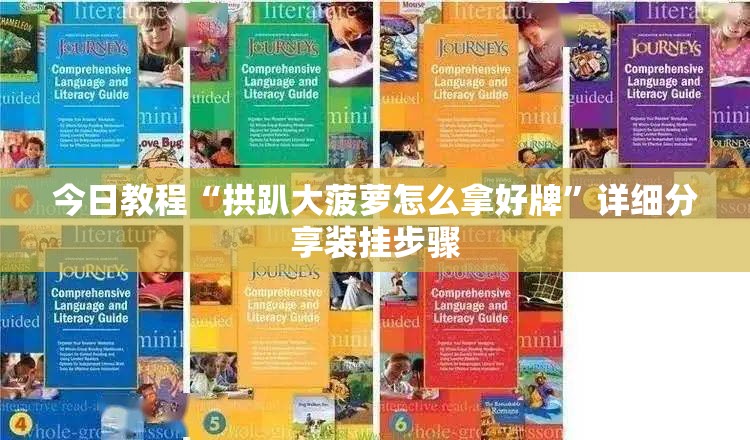 今日教程“拱趴大菠萝怎么拿好牌”详细分享装挂步骤