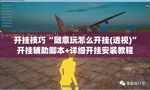 开挂技巧“随意玩怎么开挂(透视)”开挂辅助脚本+详细开挂安装教程
