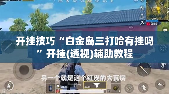 开挂技巧“白金岛三打哈有挂吗”开挂(透视)辅助教程
