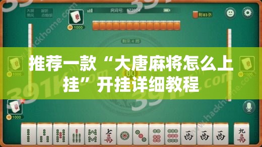 推荐一款“大唐麻将怎么上挂”开挂详细教程
