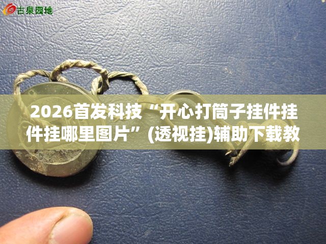 2026首发科技“开心打筒子挂件挂件挂哪里图片”(透视挂)辅助下载教程
