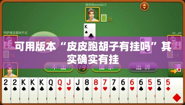 可用版本“皮皮跑胡子有挂吗	”其实确实有挂