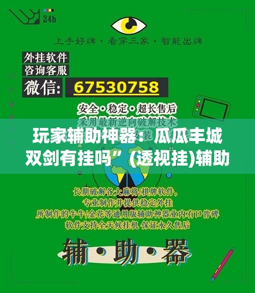 玩家辅助神器：瓜瓜丰城双剑有挂吗”(透视挂)辅助下载教程