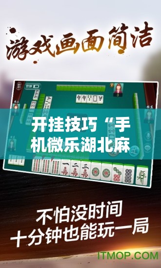 开挂技巧“手机微乐湖北麻将开挂辅助器通用版”2026开挂教程步骤