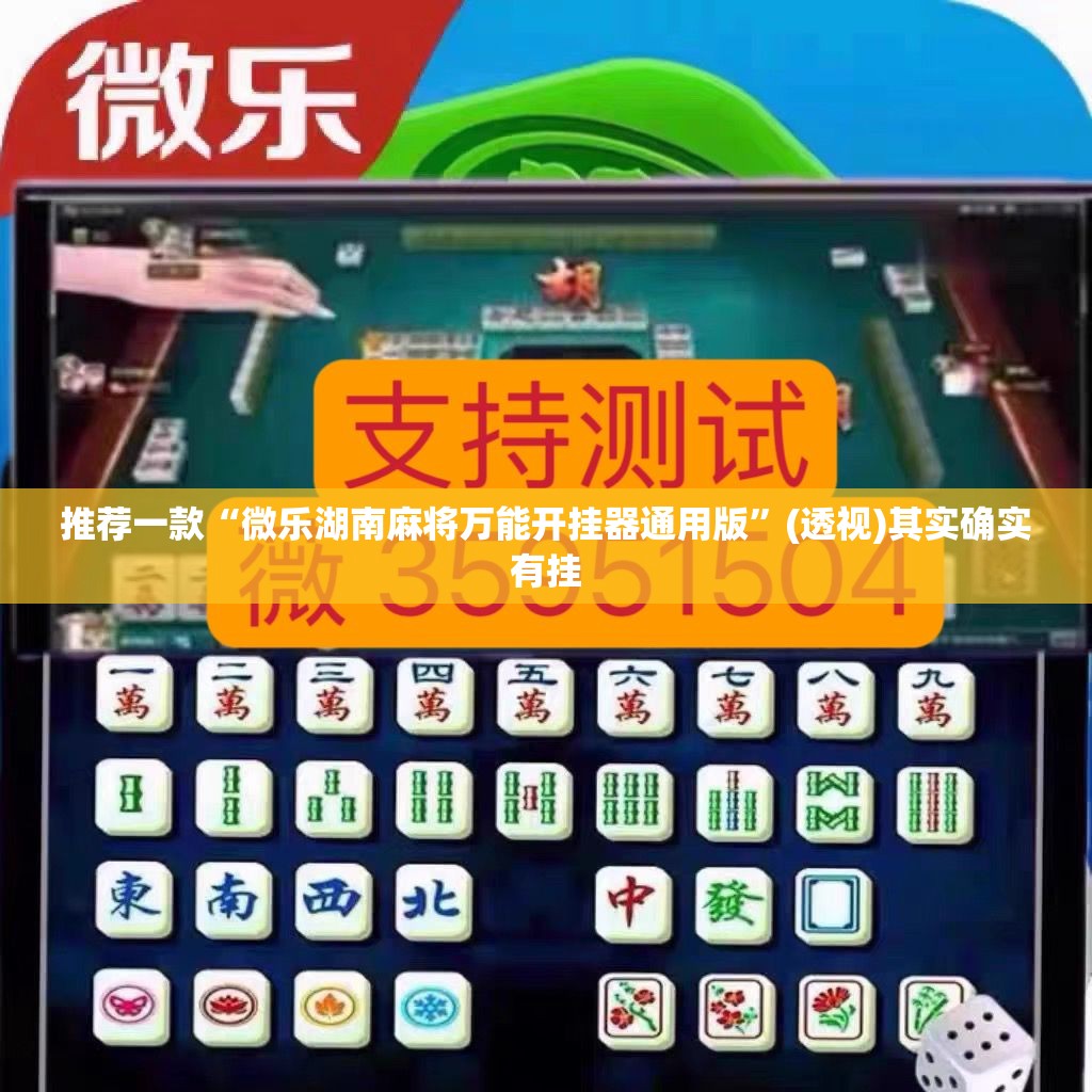 推荐一款“微乐湖南麻将万能开挂器通用版”(透视)其实确实有挂