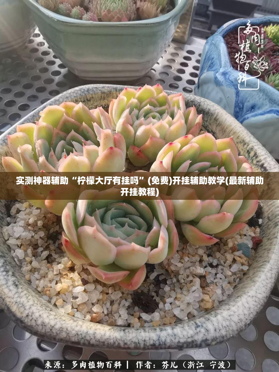 实测神器辅助“柠檬大厅有挂吗”(免费)开挂辅助教学(最新辅助开挂教程)