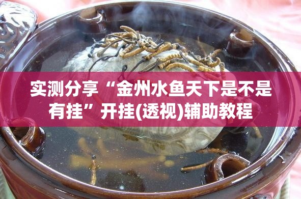 实测分享“金州水鱼天下是不是有挂”开挂(透视)辅助教程