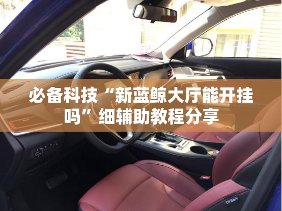 必备科技“新蓝鲸大厅能开挂吗”细辅助教程分享