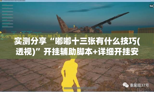 实测分享“嘟嘟十三张有什么技巧(透视)	”开挂辅助脚本+详细开挂安装教程
