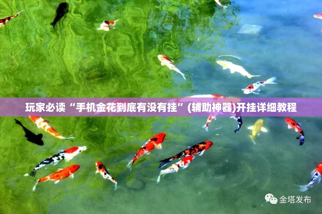 玩家必读“手机金花到底有没有挂”(辅助神器)开挂详细教程