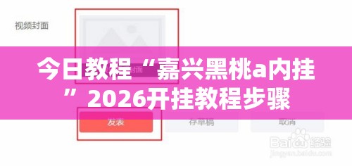今日教程“嘉兴黑桃a内挂”2026开挂教程步骤