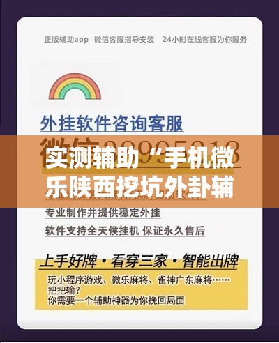实测辅助“手机微乐陕西挖坑外卦辅助软件下载	”详细分享装挂步骤