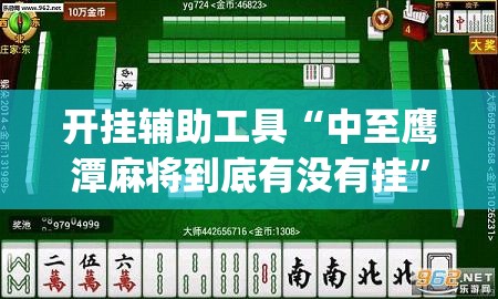 开挂辅助工具“中至鹰潭麻将到底有没有挂”(透视)其实确实有挂