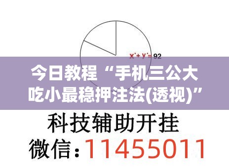 今日教程“手机三公大吃小最稳押注法(透视)”开挂辅助脚本+详细开挂安装教程