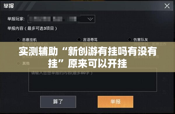 实测辅助“新创游有挂吗有没有挂”原来可以开挂