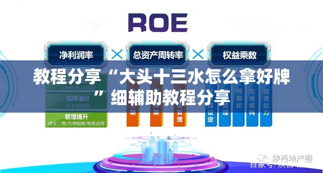 教程分享“大头十三水怎么拿好牌”细辅助教程分享