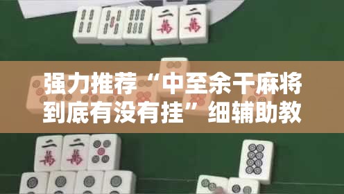 强力推荐“中至余干麻将到底有没有挂”细辅助教程分享