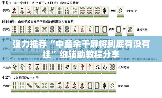 强力推荐“中至余干麻将到底有没有挂”细辅助教程分享